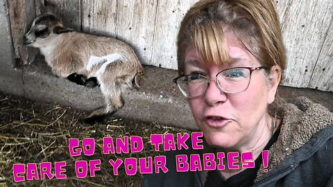 Worst Goat Mom!