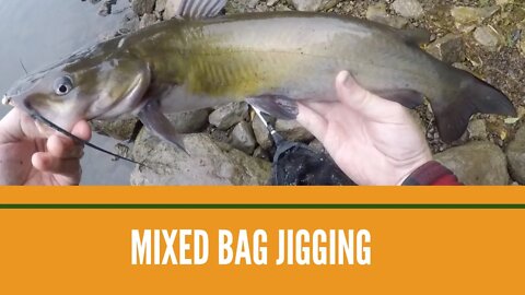 Jig Fishing River Eddies / Jigging Tips for Fisherman / Easy Fishing Tips for Beginners