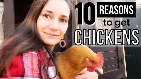 Raising Backyard Chickens for Eggs - 10 Benefits!