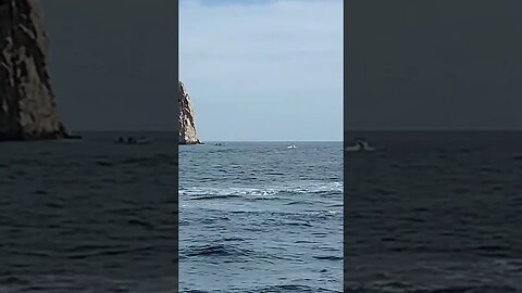 Nature's majestic spectacle: Witnessing the grace of a whale's leap in Los Cabo's pristine waters.🐋