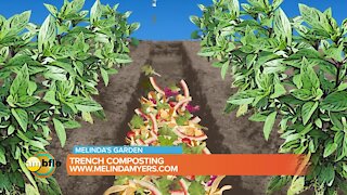 Melinda’s Garden Moment - How you can do trench composting
