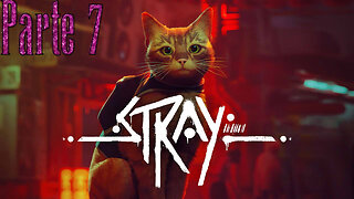 Stray Parte (7) "La Verdad" fue Traicionada!