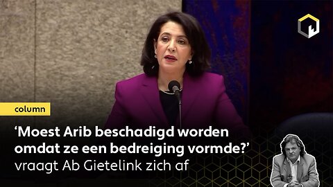 ‘Moest Arib beschadigd worden omdat ze een bedreiging vormde?’ vraagt columnist Ab Gietelink zich af