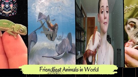 Friendliest Animals in the World