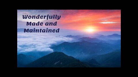 3 Proofs that we are Wonderfully Made and Maintained
