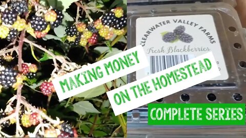 Making Money Blackberries Full Length