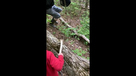 My 3 year old finds his first Morel Mushroom