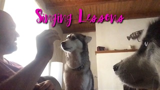 Singing huskies perform incredible dog tricks