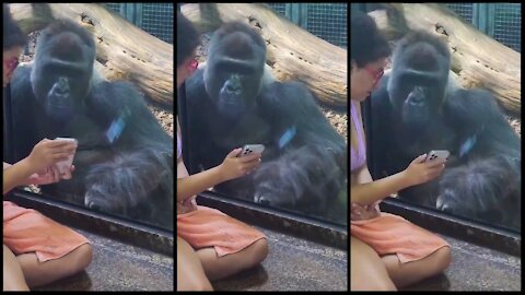 WOMAN BECOMES BEST FRIENDS WITH GORILLA