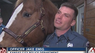 Mounted patrol horse retires after 8 years with KCPD