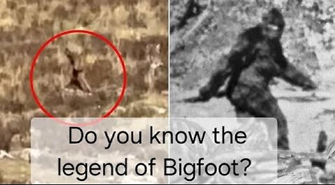 Do you know the legend of Bigfoot?