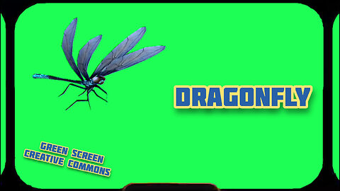 DRAGONFLY green screen animation. GREEN SCREEN video footage.