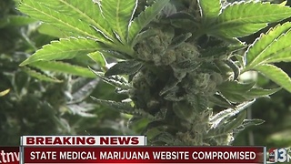 Nevada state medical marijuana portal compromised in cyber-attack