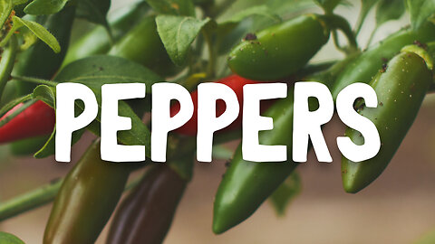 How To Grow ~ Peppers