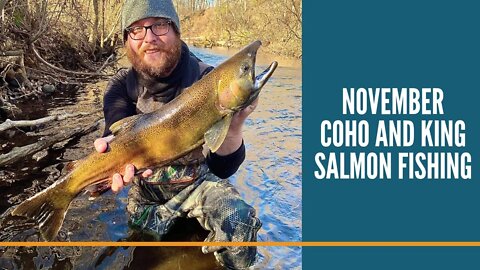 November Coho And King Salmon Fishing / How To Cure Salmon Eggs / Lamiglas X11 First Impressions