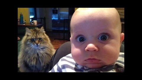 😺 Can I get another babysitter?! 🐕 Funny cat and dog videos for a good mood! 🐈