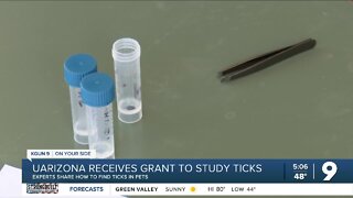 Identifying ticks in pets for local research