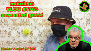 maurieos VLOG #1765 unwanted guest