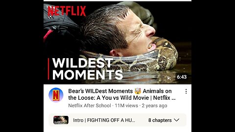 Bear's WILDest Moments Animals on the Loose: A You vs Wild Movie | Netflix After School