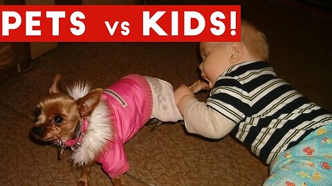 Funniest Pets Vs Kids Video Compilation December 2016 | Funny Pet Videos