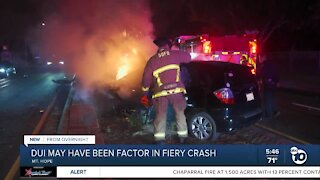 Car hits tree in Mount Hope, bursts into flames