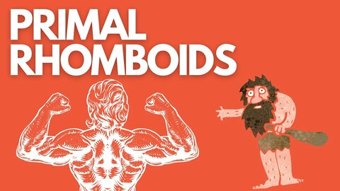 Why Your Rhomboids Are Weak (vs. Primal Living)