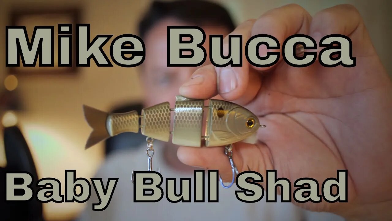 UP CLOSE - Mike Bucca - Baby Bull Shad