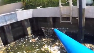 Removing trash from our Intracoastal waterways