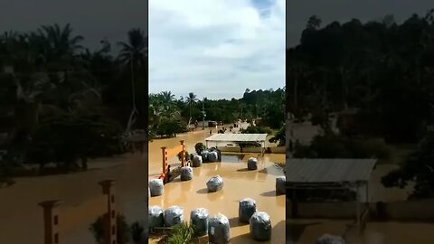 Peristiwa Banjir di Desa Mandrasah Tebo Jambi