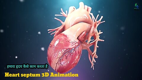 Heart septum 3D Animation || हमारा हृदय कैसे काम करता है || how to work blood circulation system ||