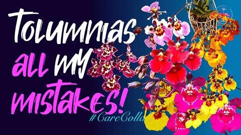 TOLUMNIA orchid CARE #CareCollab | My mistakes recognized & corrected