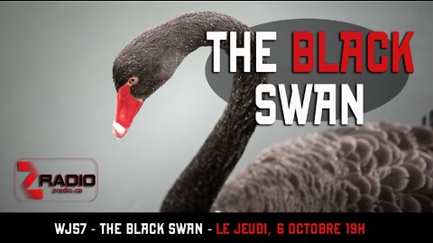 WJ57 - Black Swan