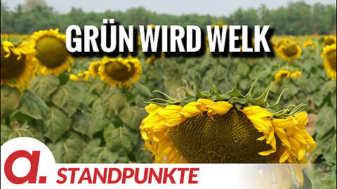 Grün wird welk | Von Rüdiger Rauls