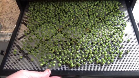 Dehydrating Frozen Vegetables - L2Survive with Thatnub