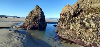 San Simeon - Morning walk on the beach