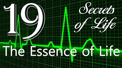 What is Life ?... The Creator explains the Essence of Life ❤️ Secrets of Life thru Gottfried Mayerhofer