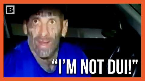 "I'm Not DUI!" Man Makes Entertaining Car Noises, Badly Fails Sobriety Test