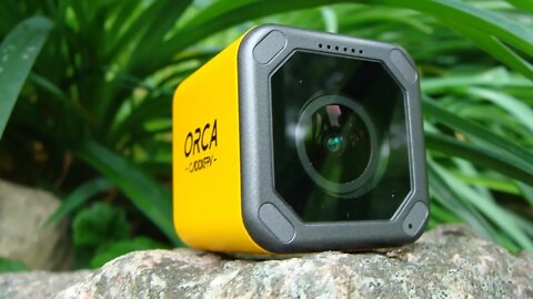 CaddX FPV Orca Camera Review and Flights