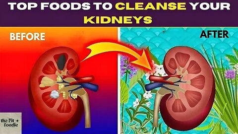 The Best Foods to Cleanse & Repair Your Kidneys in 2023 | The Fit Foodie