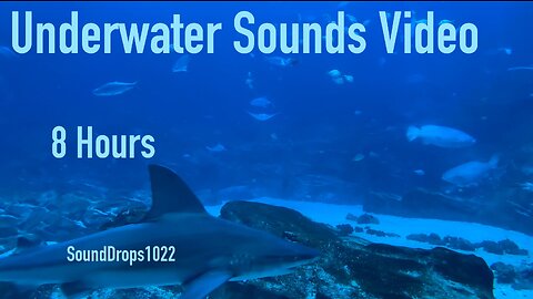 Instantly Fall Asleep With 8 Hours Of Underwater Sounds Video
