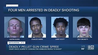 Deadly pellet gun crime spree in Valley