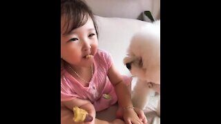 Pup steals snack away from little girl