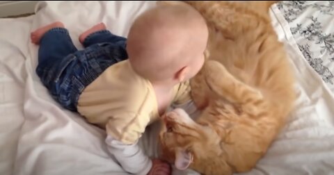 Cats meeting Babies for the FIRST TIME (NEW) Compilation.