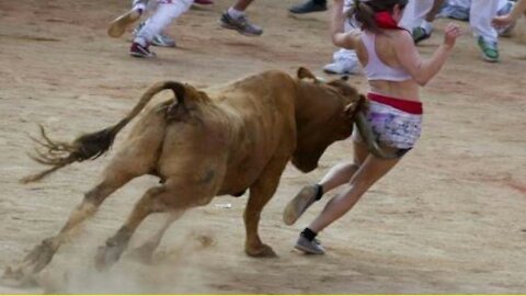 Best funny videos 2021 Most awesome bullfighting festival