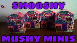 Smooshy Mushy Minis Opening