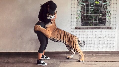 These Animals Reunited With Owners After Years !