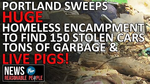 Portland sweeps huge homeless encampment to find 150 stolen cars live pigs and tons of garbage