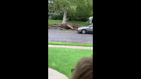 Footage captures the moment Hurricane Isaias knocks over tree in Long Island