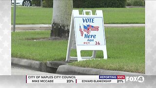 Lee County sees drop in turnout due to COVID-19