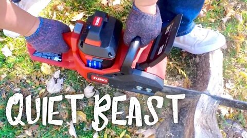 TORO Flex-Force Cordless Electric Chainsaw Review